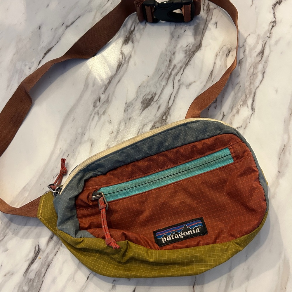 Patagonia Belt Bag